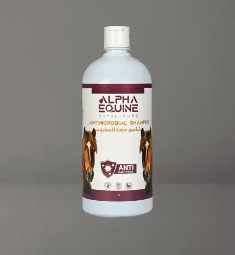 [30266100005] ANTIMICROBIAL SHAMPOOO - 1 LITER شامبو مضاد للفطريات 1 لتر 