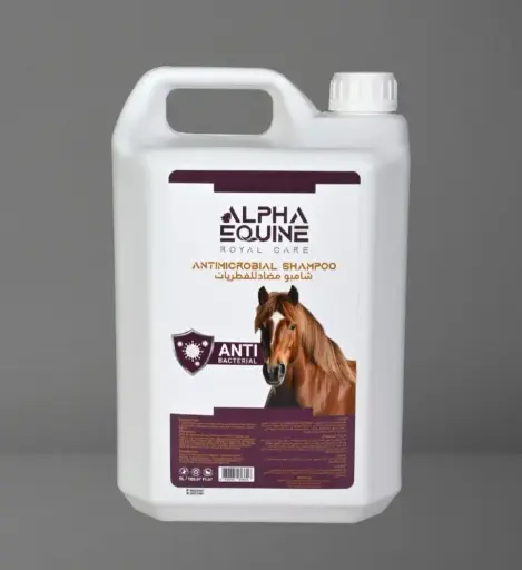 [30266100004] ANTIMICROBIAL SHAMPOOO - 5 LITER شامبو مضاد للفطريات 5 لتر
